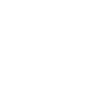DE VALIS Logo